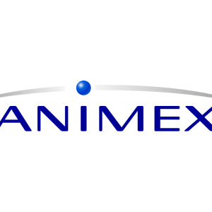 logo animex