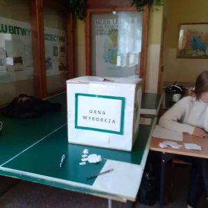 wybory